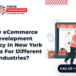 eCommerce Development Agency In New York Work