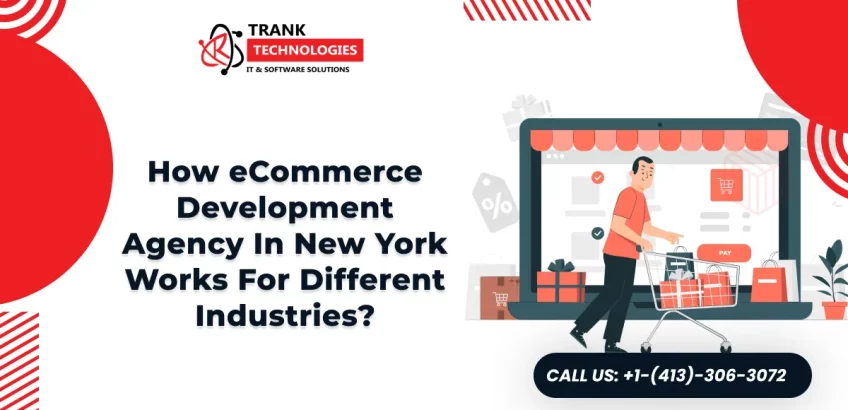 eCommerce Development Agency In New York Work